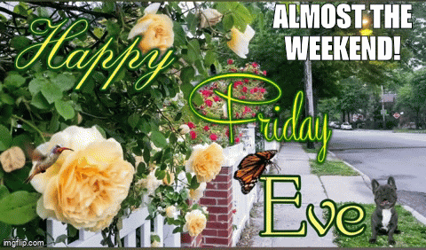 Happy Friday Eve Almost The Weekend GIF