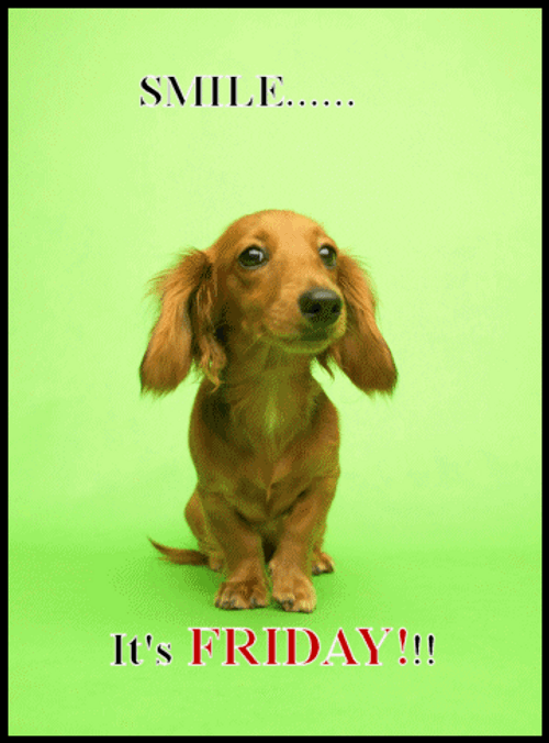 Happy Friday Funny Dog Flapping Ears GIF