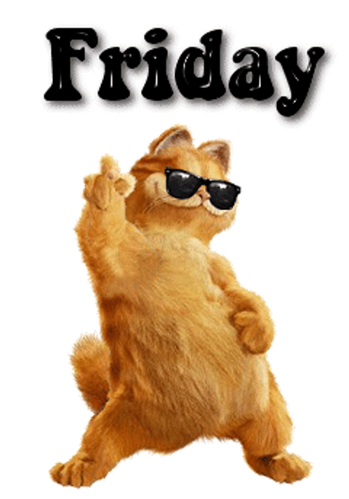 Happy Friday Funny Garfield With Glasses GIF