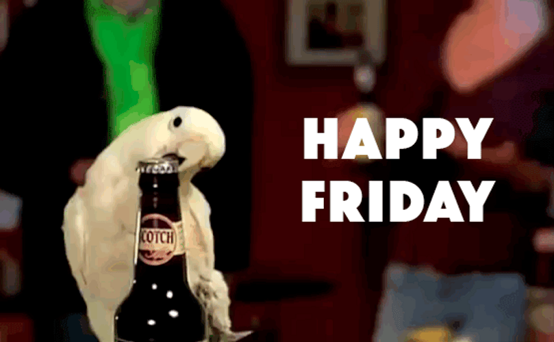 Happy Friday Funny Parrot Opening Beer GIF