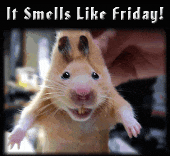 Happy Friday Funny Sniffing Mouse GIF