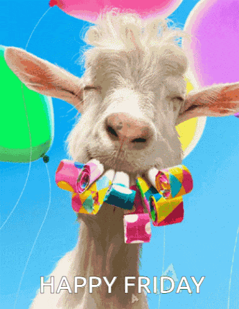Happy Friday Goat Meme GIF