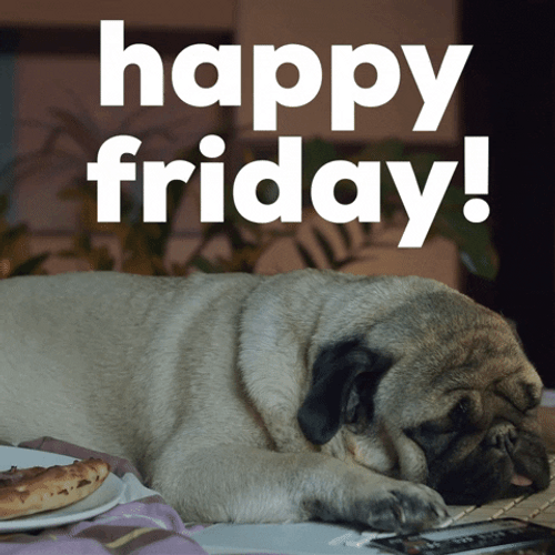 Happy Friday Sleepy Pug GIF
