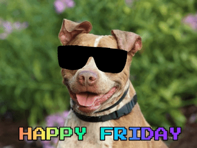 Happy Friday Thug Life Dog GIF