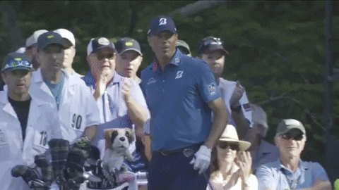Happy Golf Fans GIF