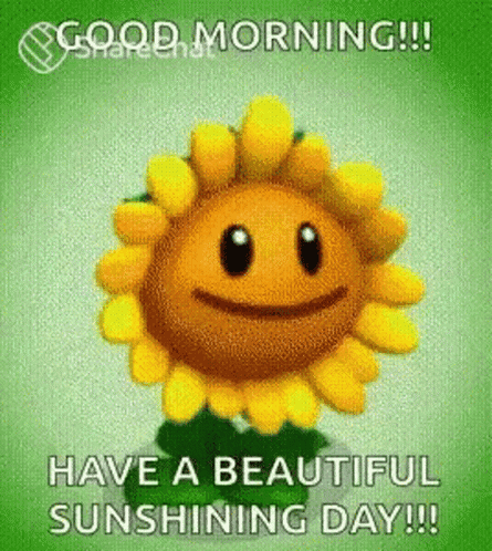Happy Good Morning Sunflower Plants Vs Zombies GIF