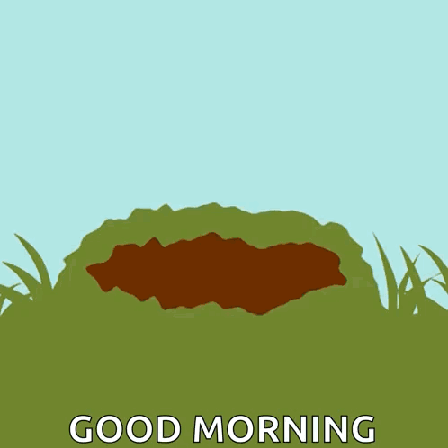 Happy Groundhog Day Good Morning GIF