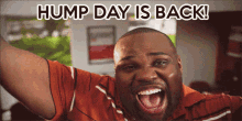 Happy Guy Hump Day Camel Is Back GIF