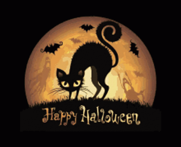 Happy Halloween Black Cat GIF
