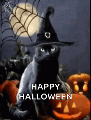 Happy Halloween Cute Cat Witch Hat GIF