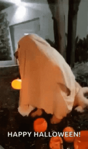 Happy Halloween Funny Dog In Ghost Costume GIF