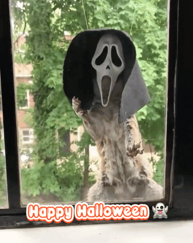 Happy Halloween Funny Squirrel In Scream Costume GIF