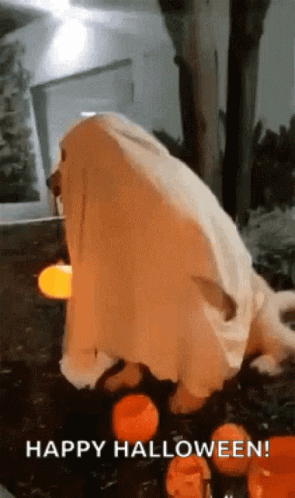 Happy Halloween Ghost Dog Costume GIF