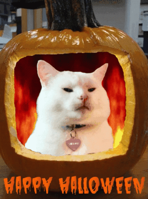 Happy Halloween White Cat GIF