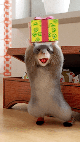 Happy Hamster Jumps Dance After Receiving Gift GIF