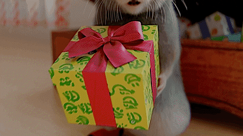 Happy Hamster Jumps Drops Gift Dance GIF