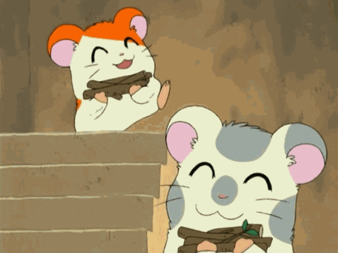 Happy Hamtaro Anime GIF