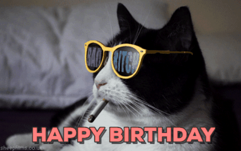 Happy Happy Happy Cat Cool Shades GIF