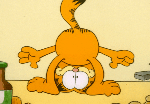 Happy Happy Happy Cat Upside Down Garfield GIF