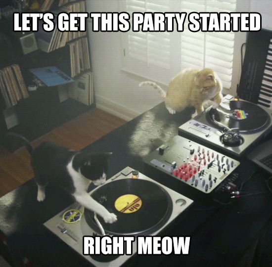 Happy Happy Happy Dj Cat Dance Party GIF