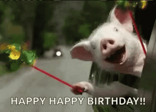 Happy Happy Happy Meme Birthday Pig GIF