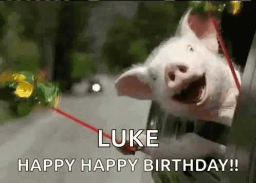 Happy Happy Happy Meme Luke Birthday GIF