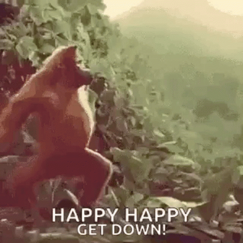 Moneky Dancing Happy Happy Joy Joy Get Down GIF