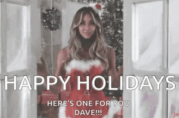 Happy Holiday Here's One For You Dave GIF