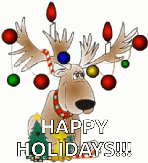Happy Holiday Reindeer With Light GIF