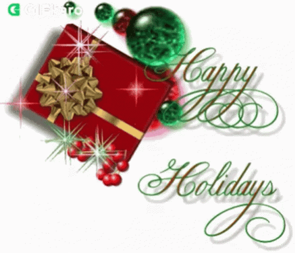 Happy Holiday With A Gift GIF