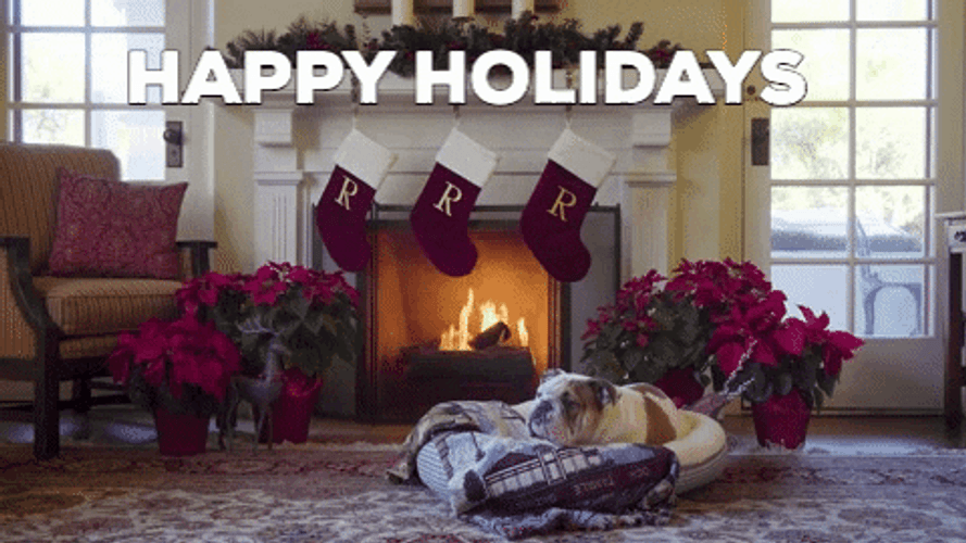 Happy Holidays Cozy Dog GIF