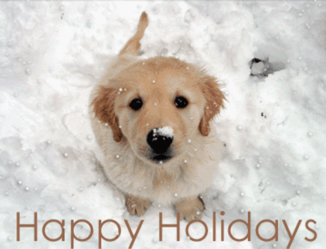 Happy Holidays Dog Puppy GIF