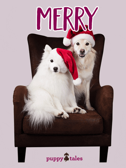 Happy Holidays Merry Woofmas Christmas Dogs GIF