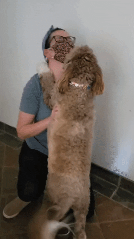 Happy Hugging Dog GIF