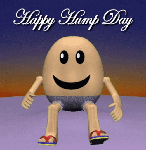happy hump day funny cartoons