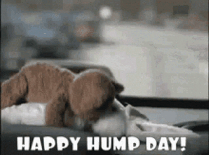 Happy Hump Day Funny Toys Meme GIF 