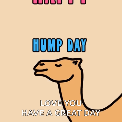 Happy Hump Day Greeting Card With Camel