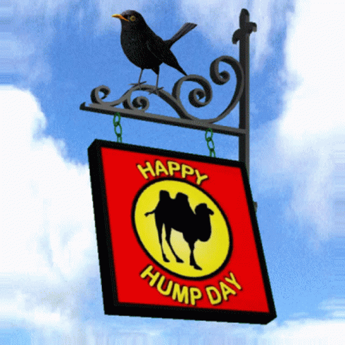 Happy Hump Day Meme Hanging Signage GIF