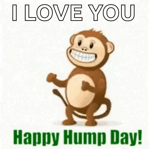 Happy Hump Day Monkey Dancing