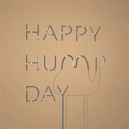 Happy Hump Day On Brown Background GIF
