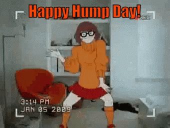 Happy Hump Day Velma Dinkley Fictional Character GIF