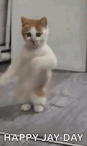 Happy Jay Cat Day Meme GIF