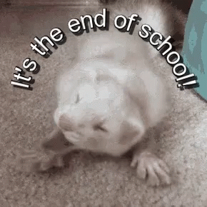 Happy Last Day Of School Mouse GIF