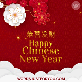Happy Lunar New Year 2022 Spring Fireworks GIF
