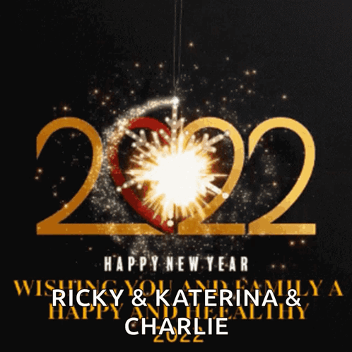 Happy Lunar New Year Fireworks Greetings GIF