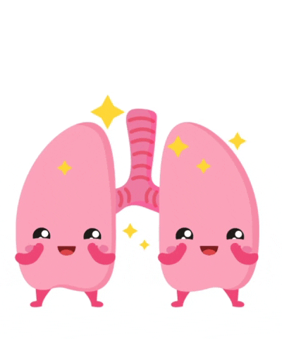 Happy Lungs Filled Enough Oxygen By Circulatory System GIF