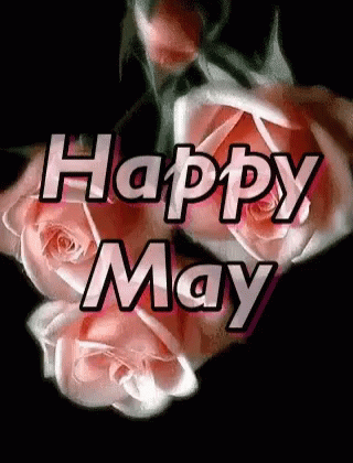 Happy May Pink Roses Illusion GIF