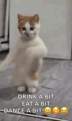 Happy Meme Turkish Van GIF
