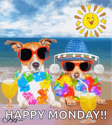 Happy Monday Greeting Two Dogs in Sunglasses and Flowers