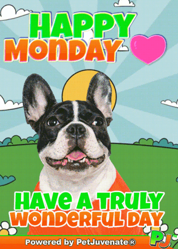 Happy Monday Have a Wonderful Day Poster